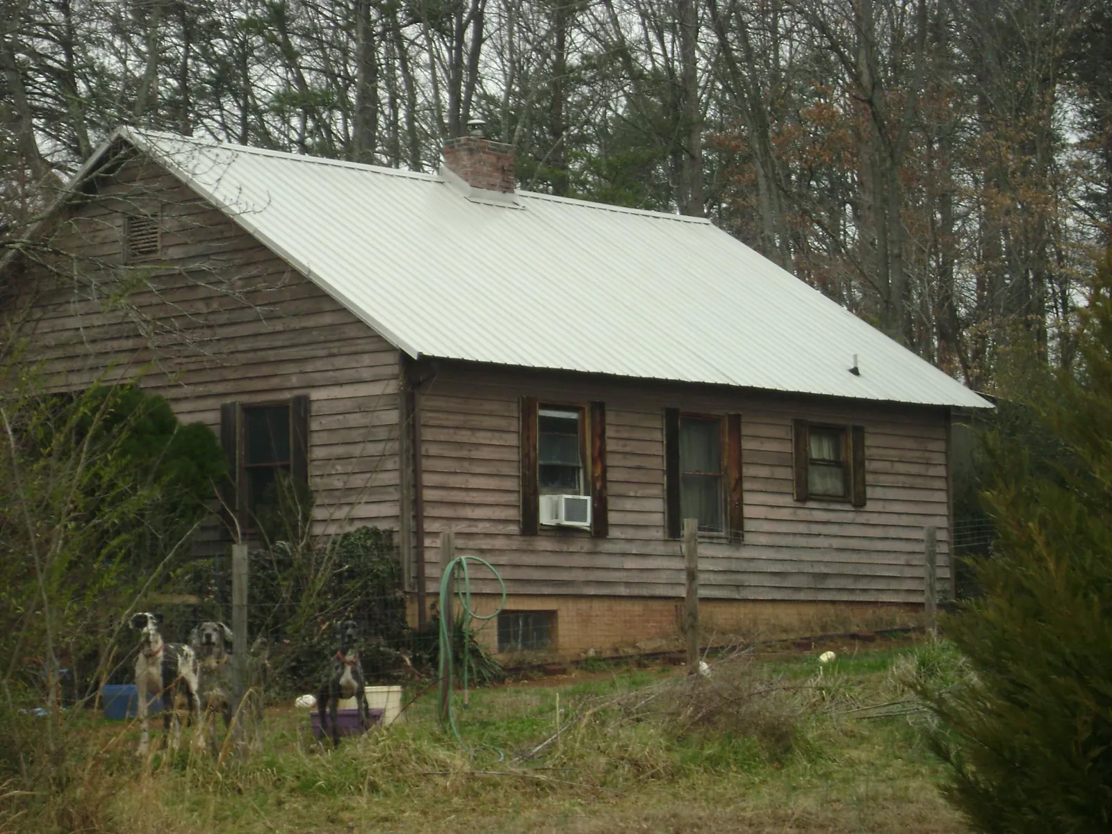 White metal roof on an old wood sided farmhouse, from a Asphalt Shingle Roof Repair job in Woodman